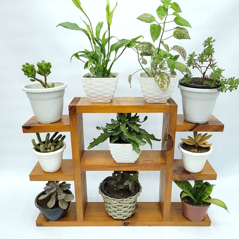 suporte para planta10