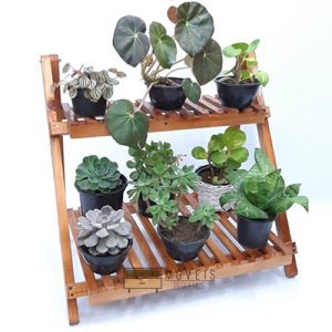 Organizador e expositor de vasos de plantas e suculentas 97