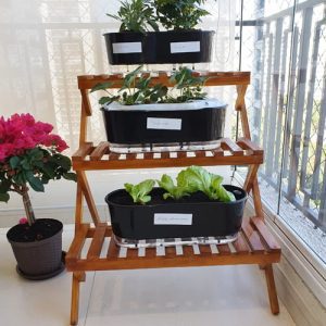 Estante  para Plantas modelo 21