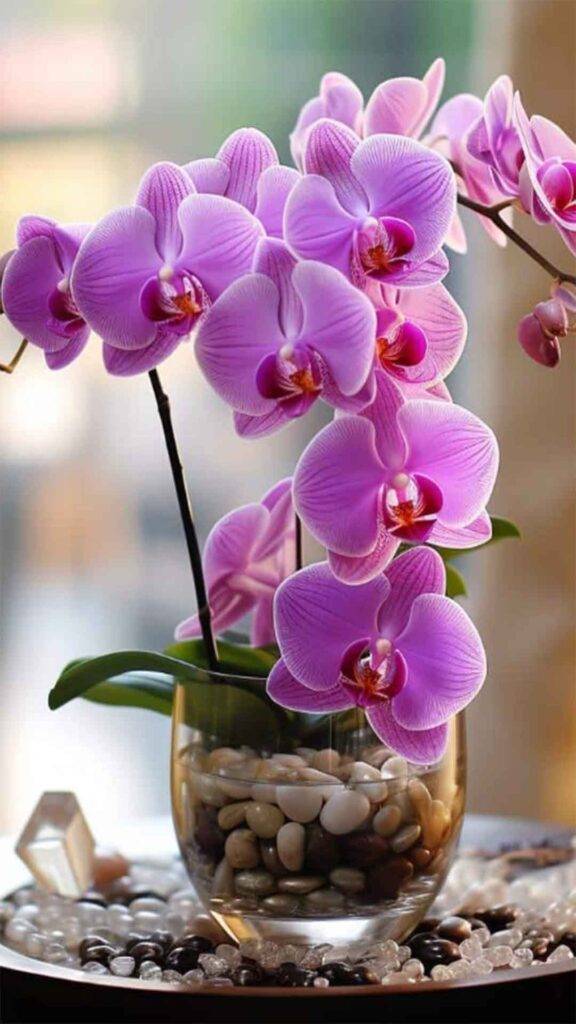 Orquideas-10-576x1024 Dicas de Cultivo: Como Garantir Flores Deslumbrantes em Suas Orquídeas