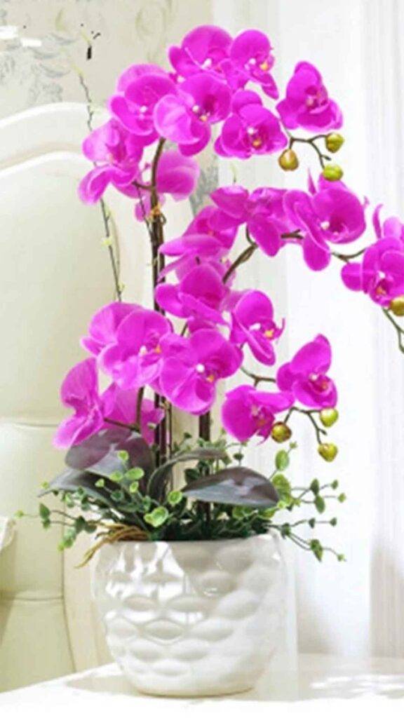Orquideas-13-576x1024 Decoração com Orquídeas: Ideias Criativas para Ambientes Encantadores