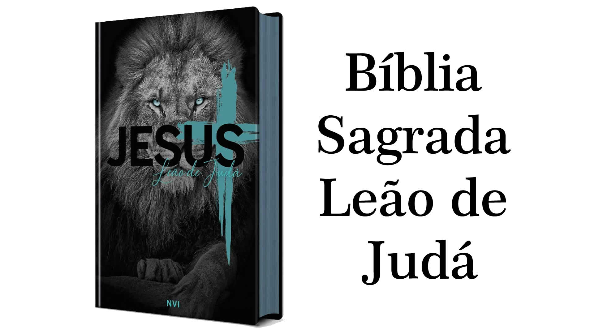Bíblia Sagrada Leão de Judá