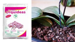 Substrato para Orquídeas