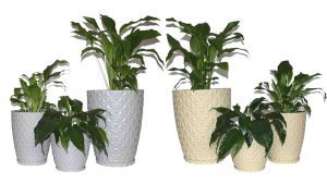 vasos para plantas