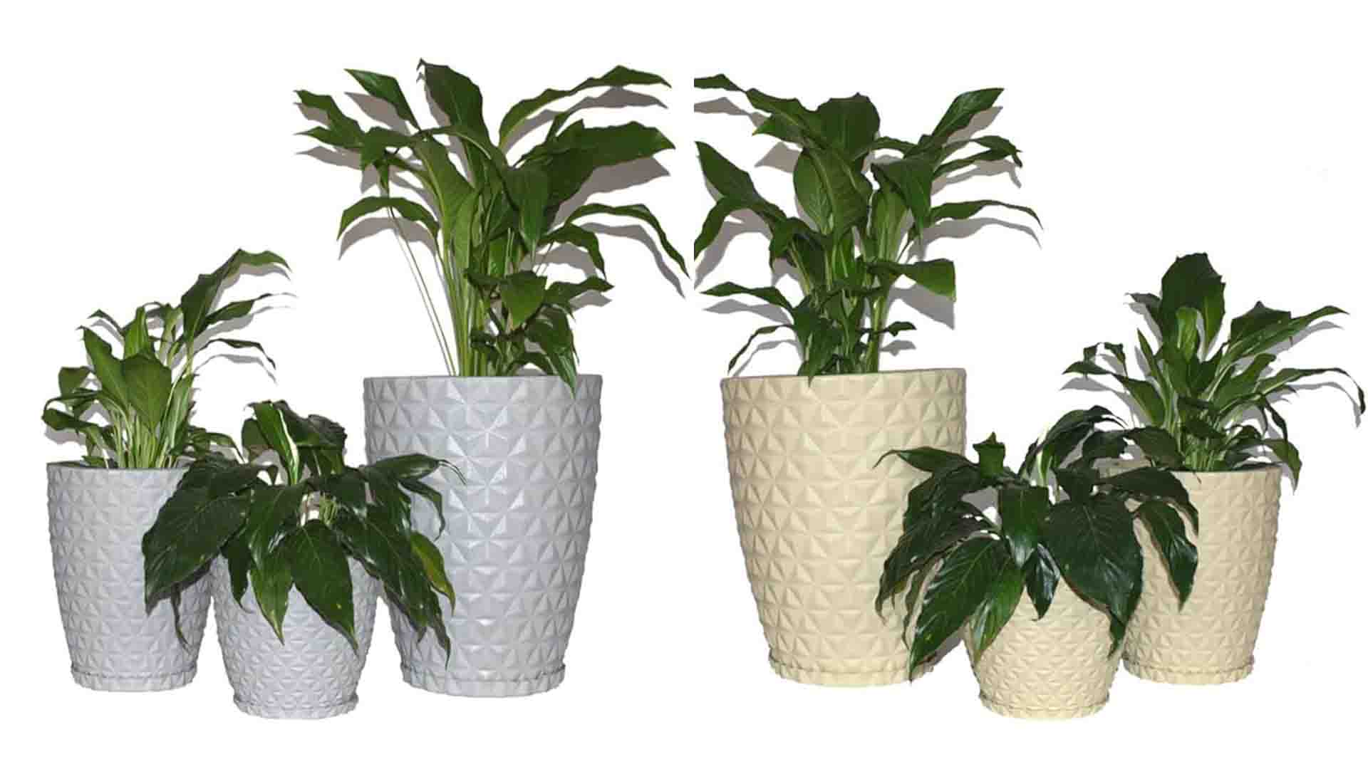 vasos para plantas