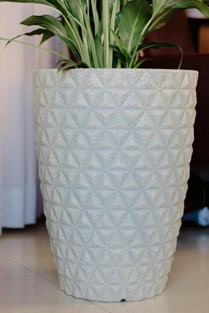 Vaso