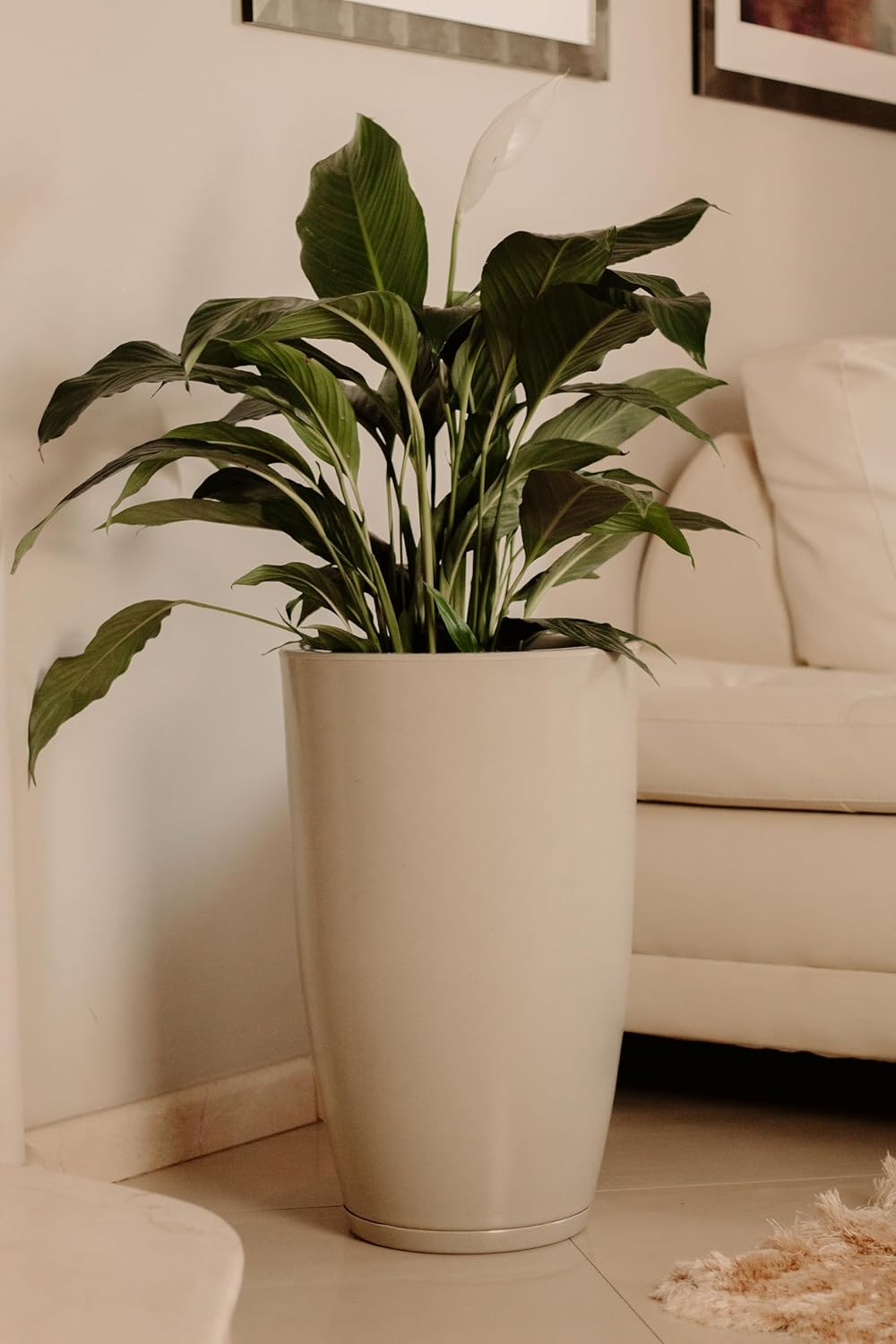Vaso Grande Polietileno Para Plantas Marmorizado Brilhante Vietnamita N3 Creme