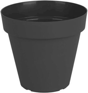 Vaso