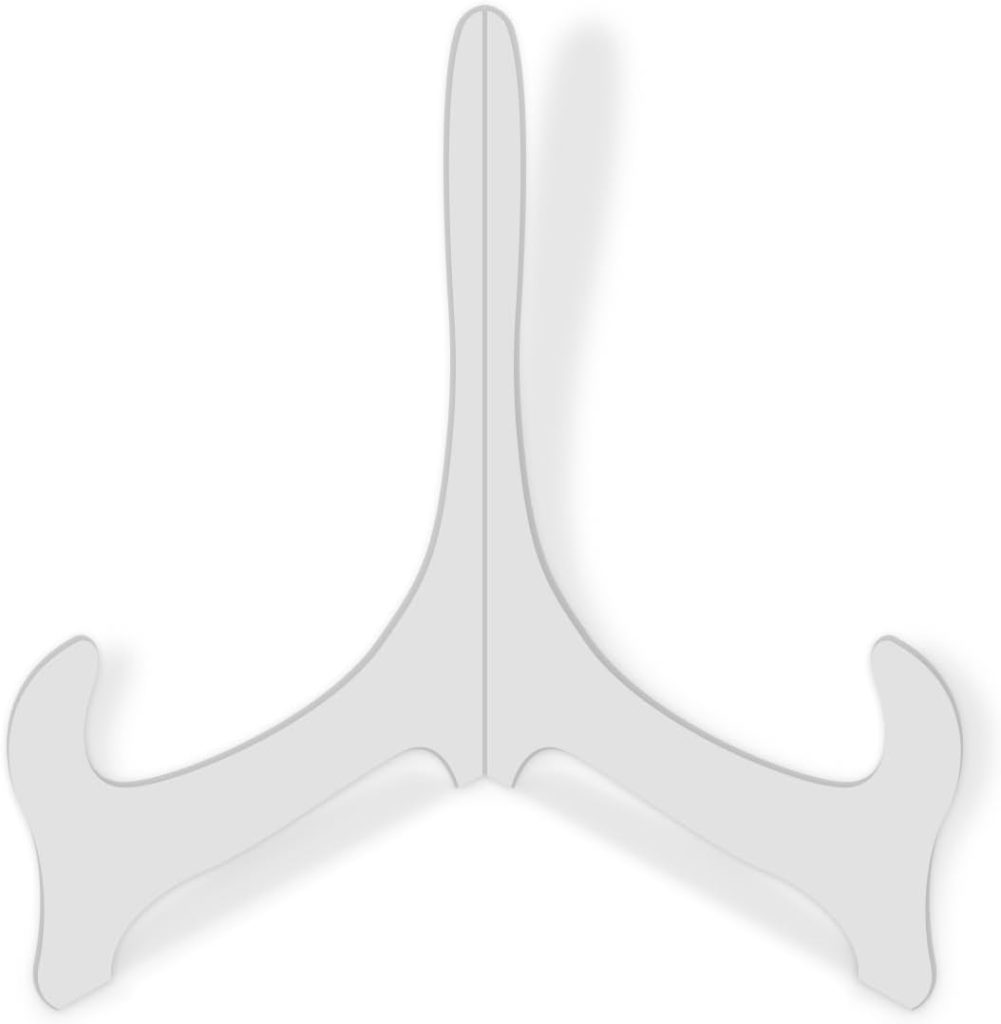 Organizador e expositor