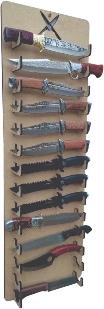 Organizador e expositor