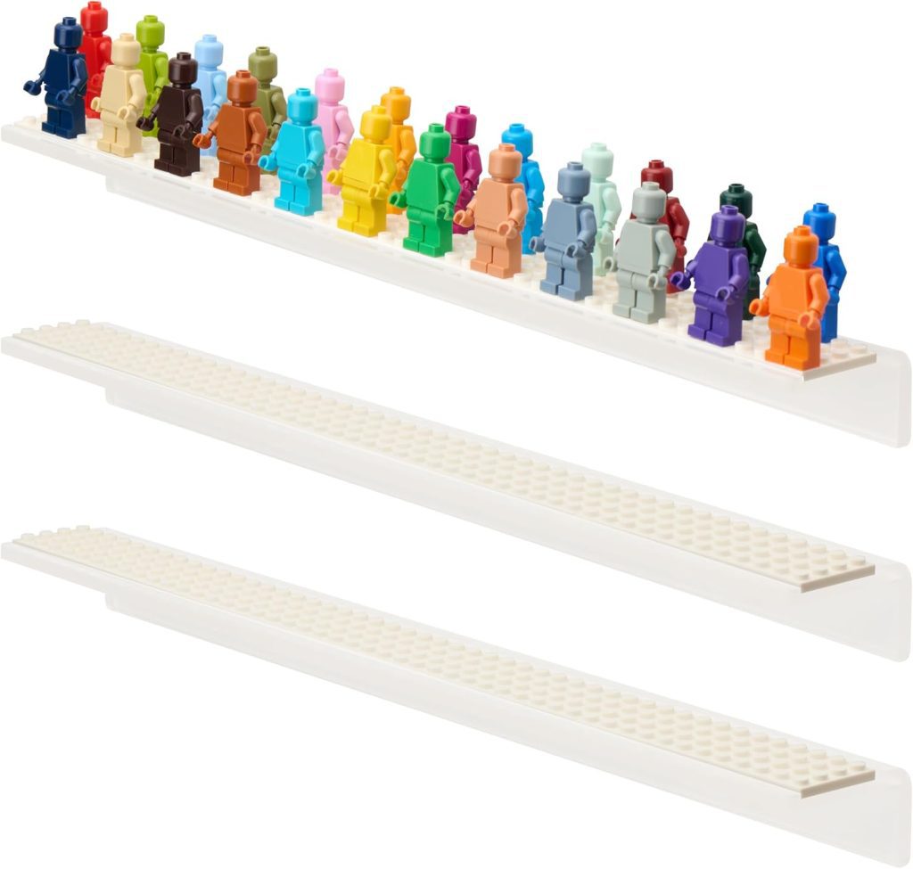 Organizador e expositor
