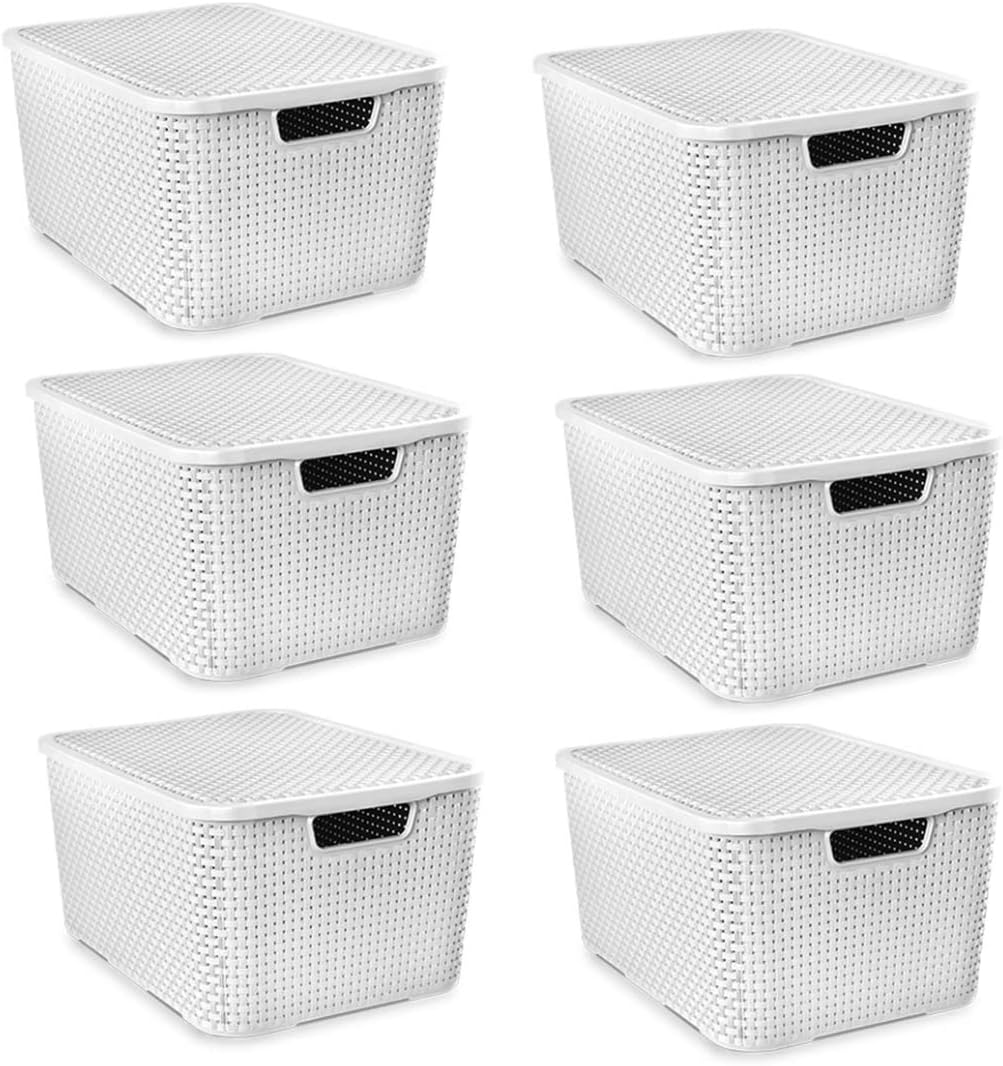 Kit 6 Caixas Organizadoras Rattan 7 Litros Com Tampa Cor