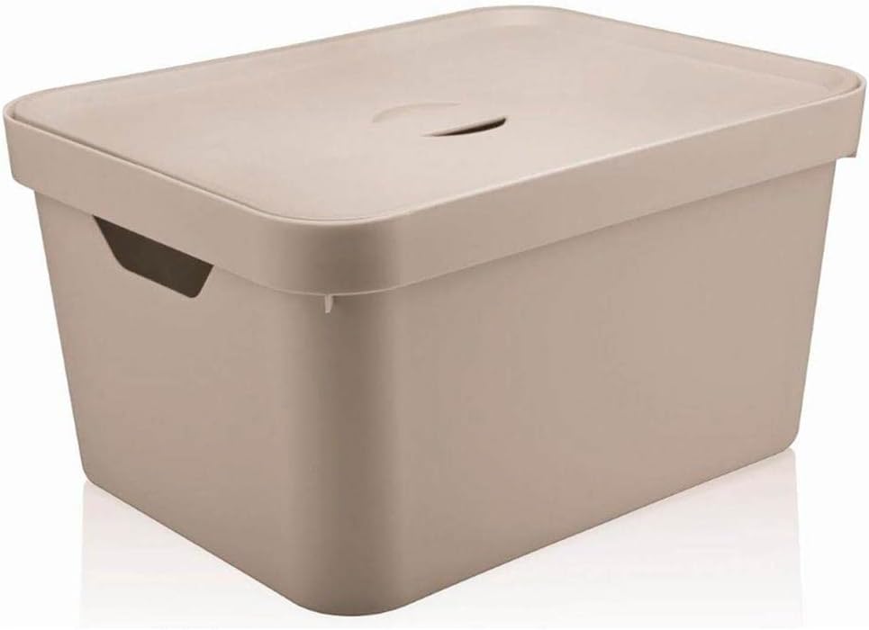 Caixa Organizadora Cube G com Tampa Ou Bege