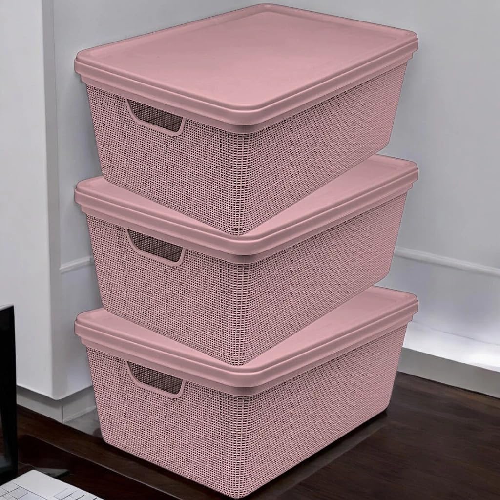 Kit Com 3 Caixa Organizadora com Tampa Grande de Plastico