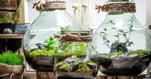 Terrários Como Criar Mini Mundos Encantadores Para Decorar Sua Casa