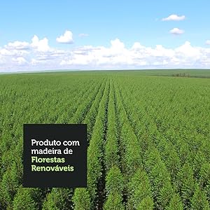 Produto com madeira de florestas renováveis