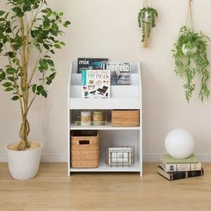 Organizador Livreiro