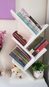 Organizador Livreiro