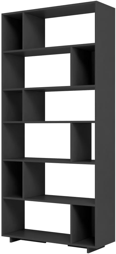 Organizador Livreiro