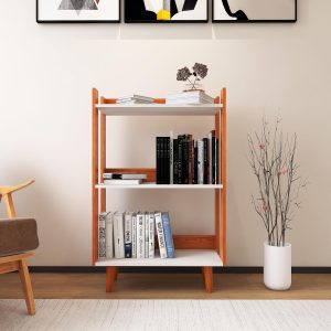 Organizador Livreiro