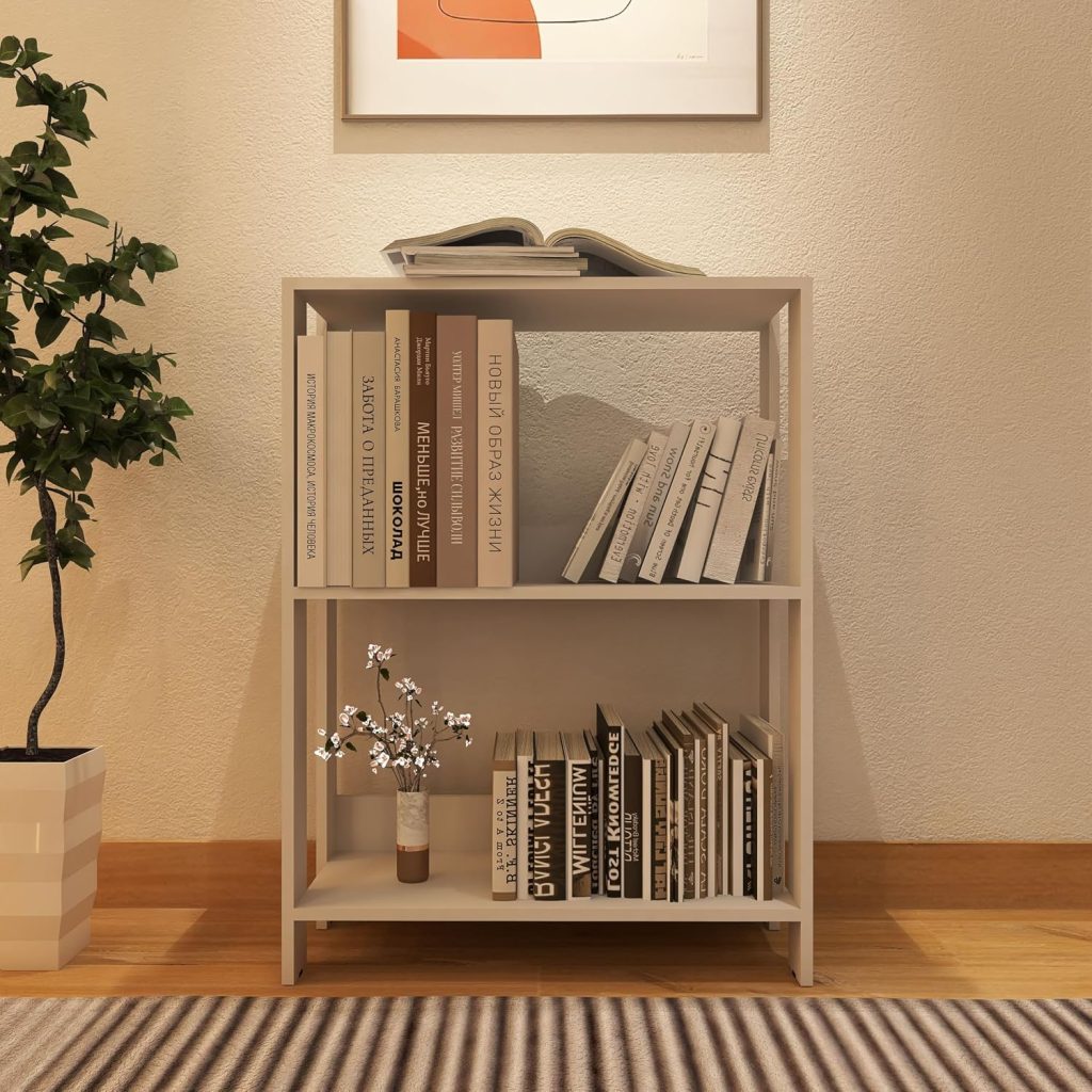 Organizador Livreiro